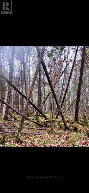 0 MYERS CAVE ROAD - Photo 5 of 10, Frontenac (Frontenac North), Ontario