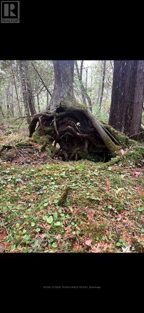 0 MYERS CAVE ROAD - Photo 3 of 10, Frontenac (Frontenac North), Ontario