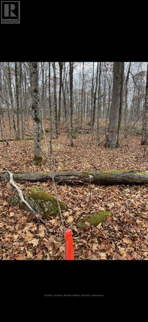 0 MYERS CAVE ROAD - Photo 4 of 10, Frontenac (Frontenac North), Ontario