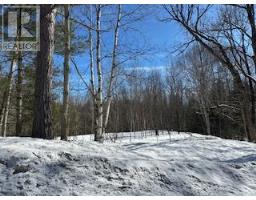 9 - Lot 18 Concession, Lake Of Bays, ON P0B1A0 Photo 11