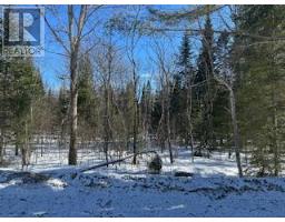 9 - Lot 18 Concession, Lake Of Bays, ON P0B1A0 Photo 10