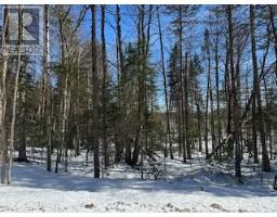 9 - Lot 18 Concession, Lake Of Bays, ON P0B1A0 Photo 13
