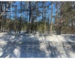 9 - Lot 18 Concession, Lake Of Bays, ON P0B1A0 Photo 6