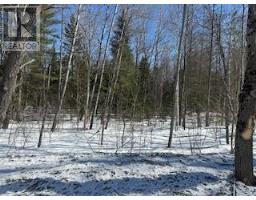 9 - Lot 18 Concession, Lake Of Bays, ON P0B1A0 Photo 9