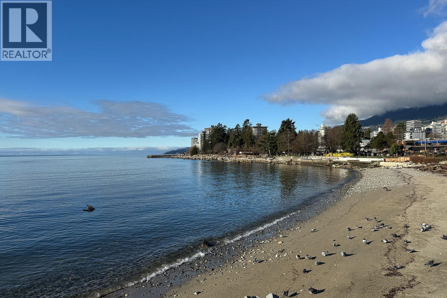 101 1737 DUCHESS AVENUE, West Vancouver