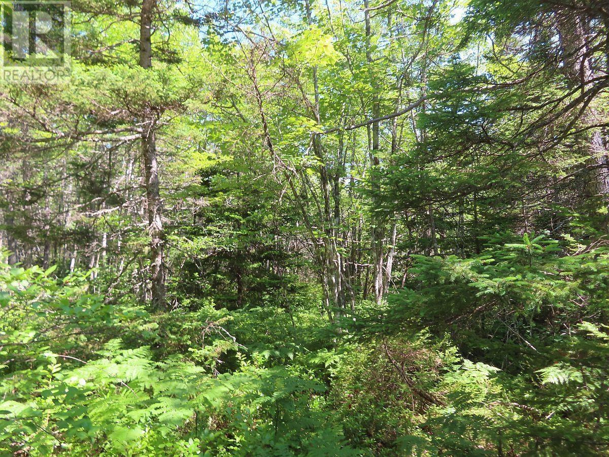 Property 10 of 43 of Lot 2 Perry Lane