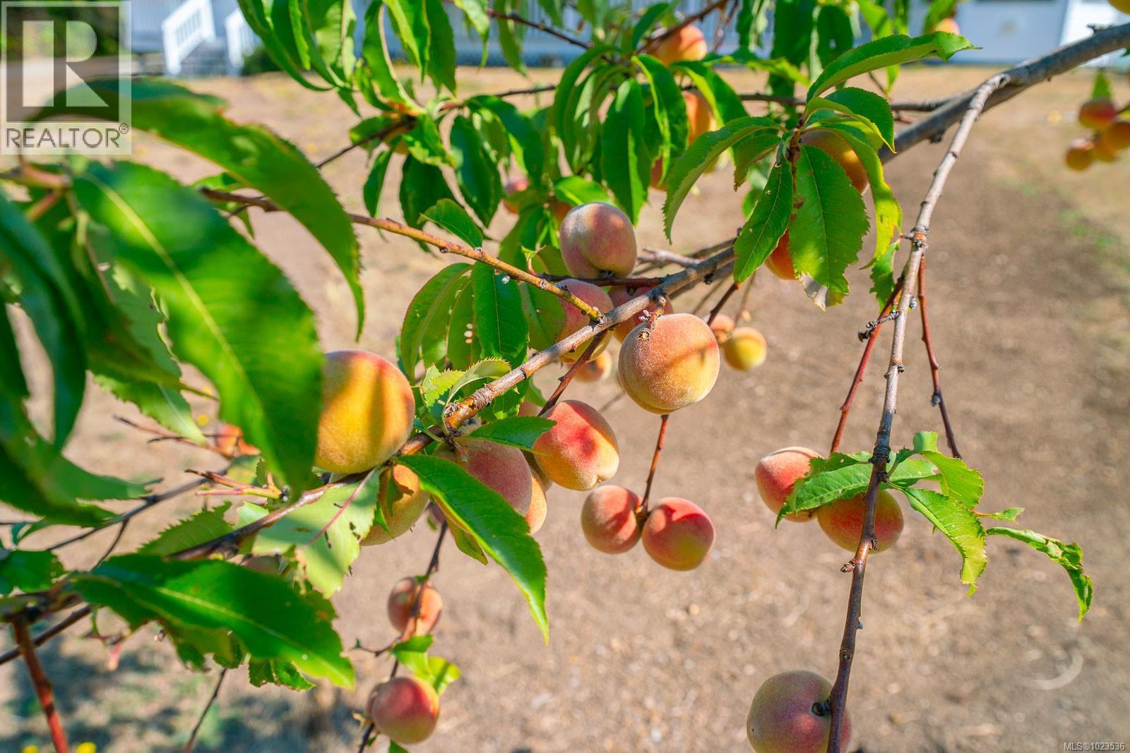 5510 Dundalk Ave N, Port Alberni