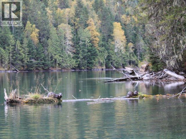 SPECIALTY CLEARWATER VALLEY ROAD - 42