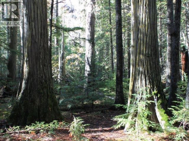 SPECIALTY CLEARWATER VALLEY ROAD - 43