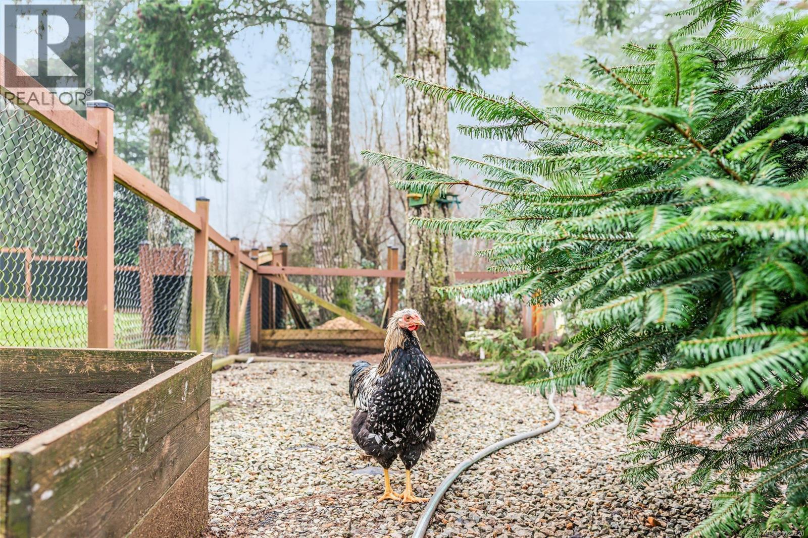 6126 Renton Rd, Port Alberni