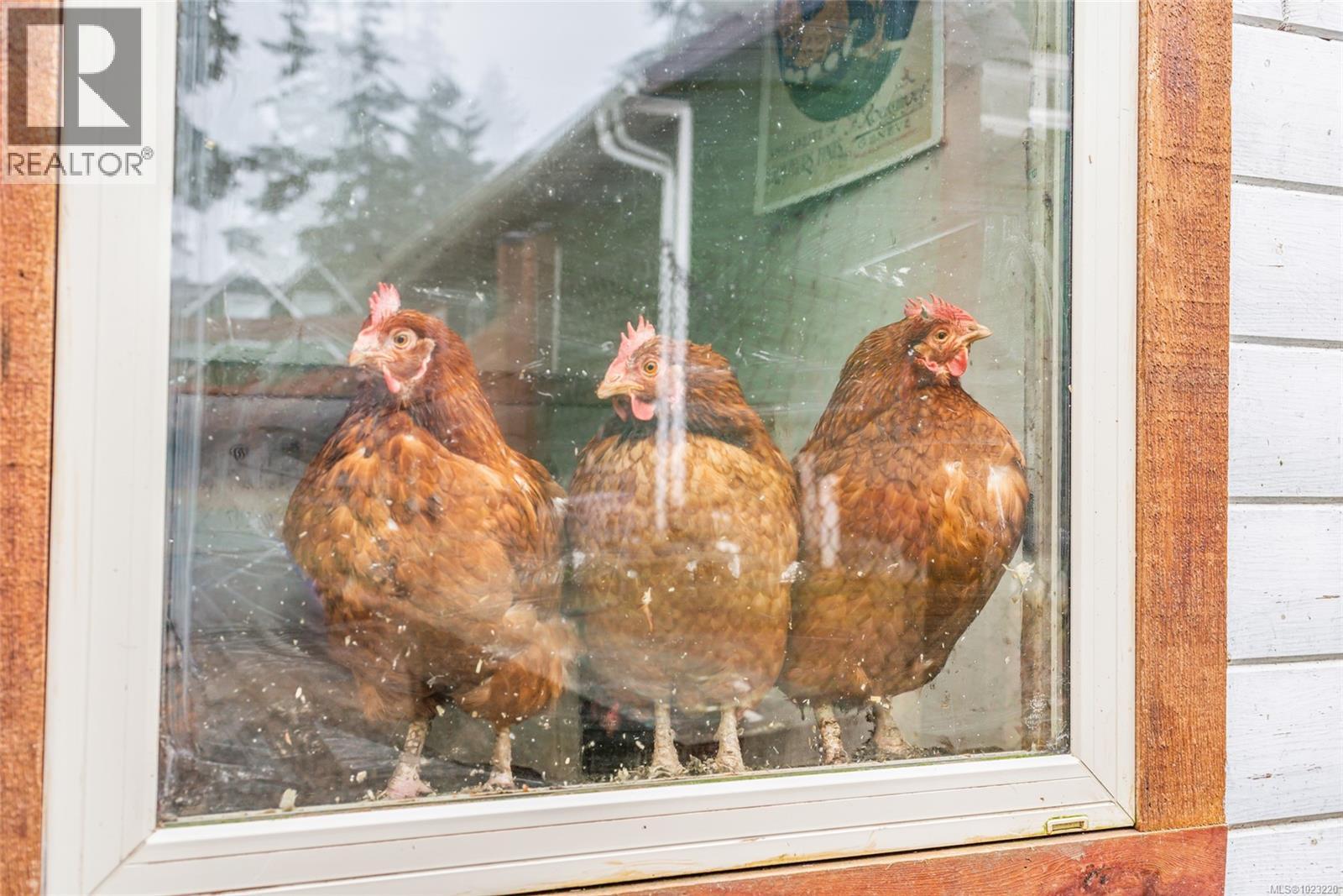 6126 Renton Rd, Port Alberni