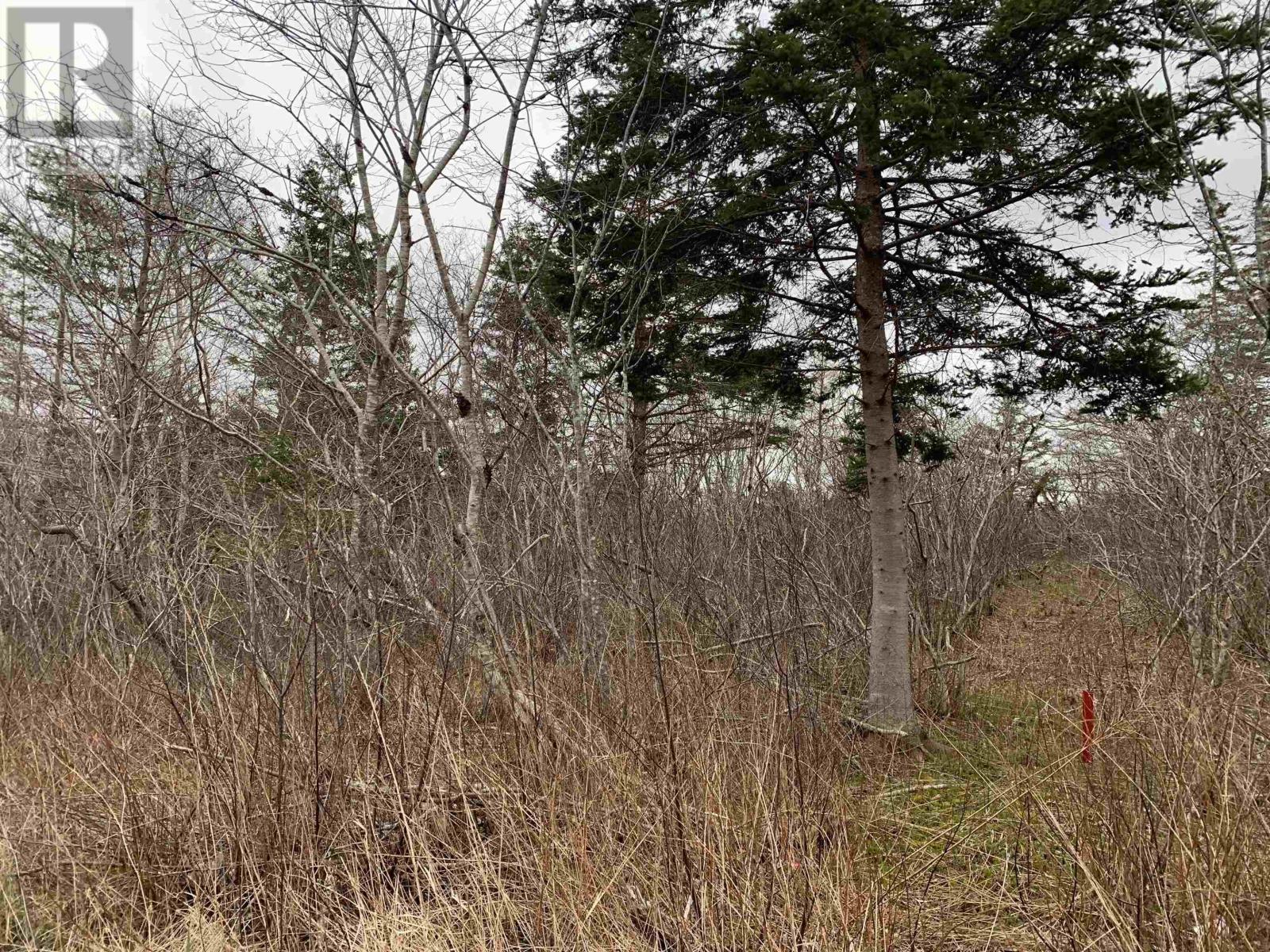 Property 8 of 11 of Lots Hardwood Hills Road