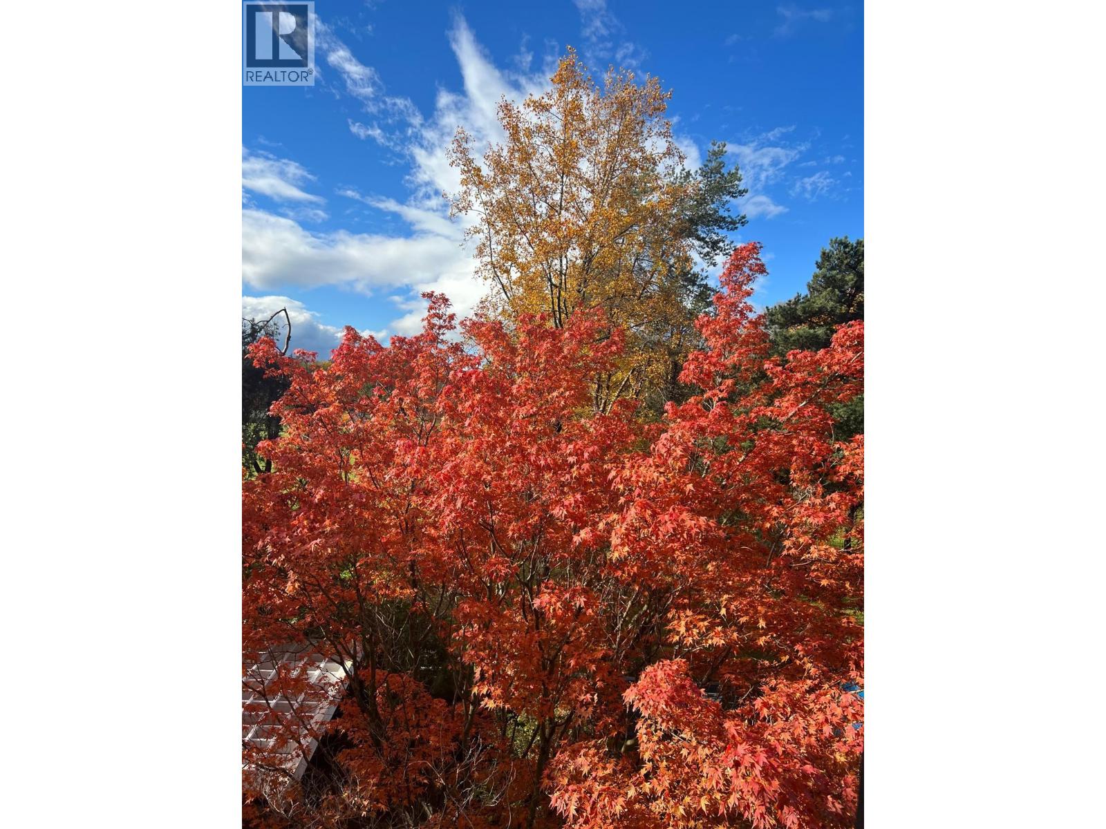 405 6611 MINORU BOULEVARD, Richmond