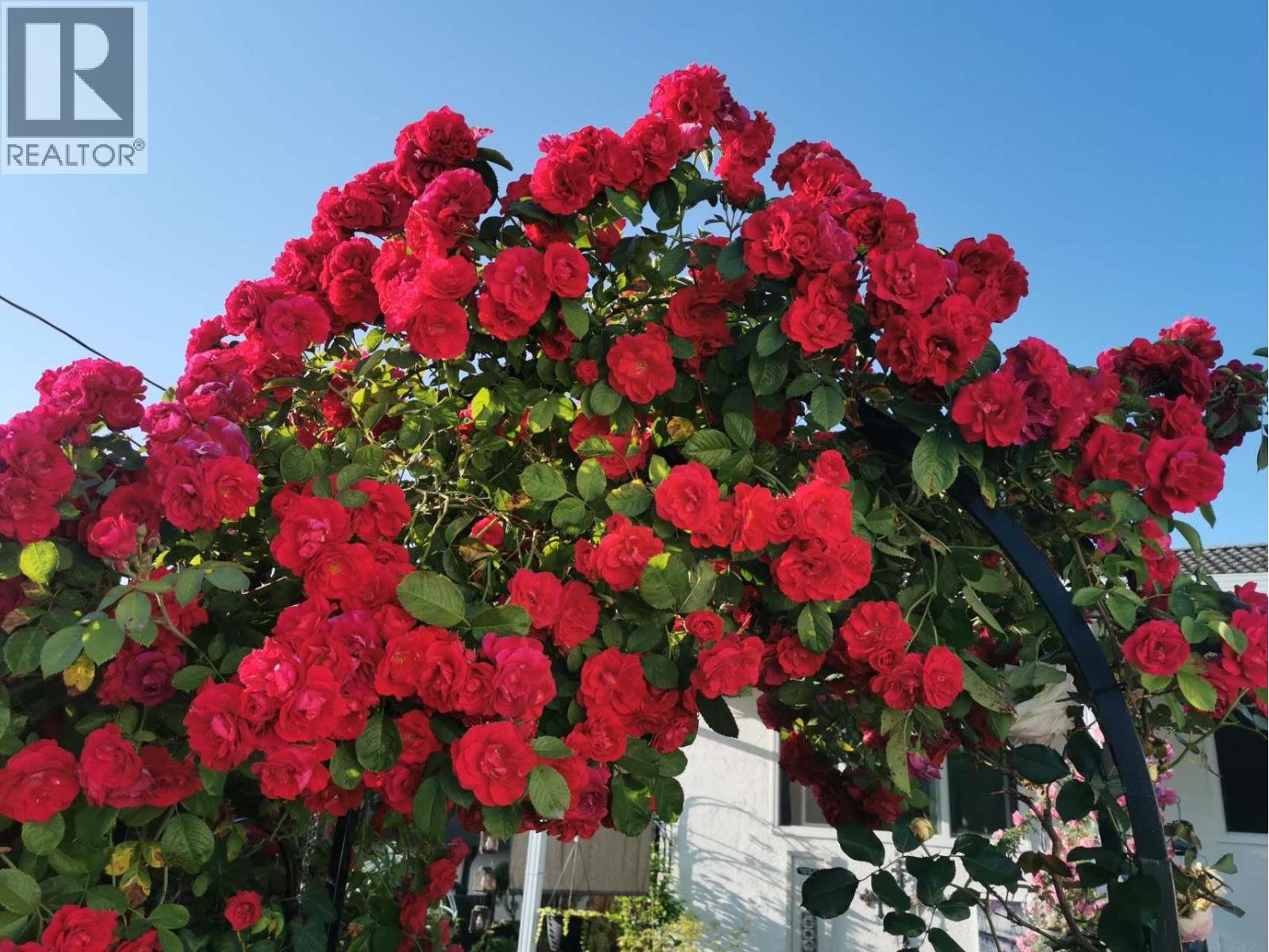 6593 LOCHDALE STREET, Burnaby