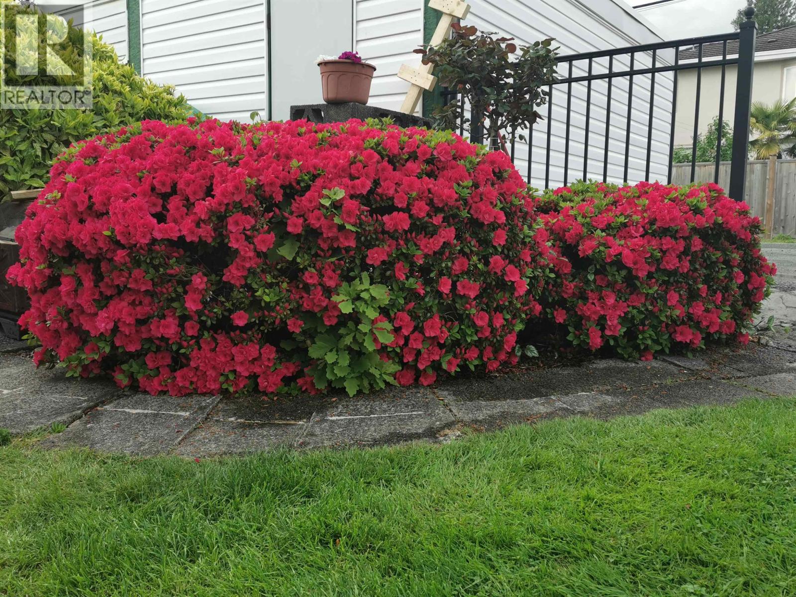 6593 LOCHDALE STREET, Burnaby