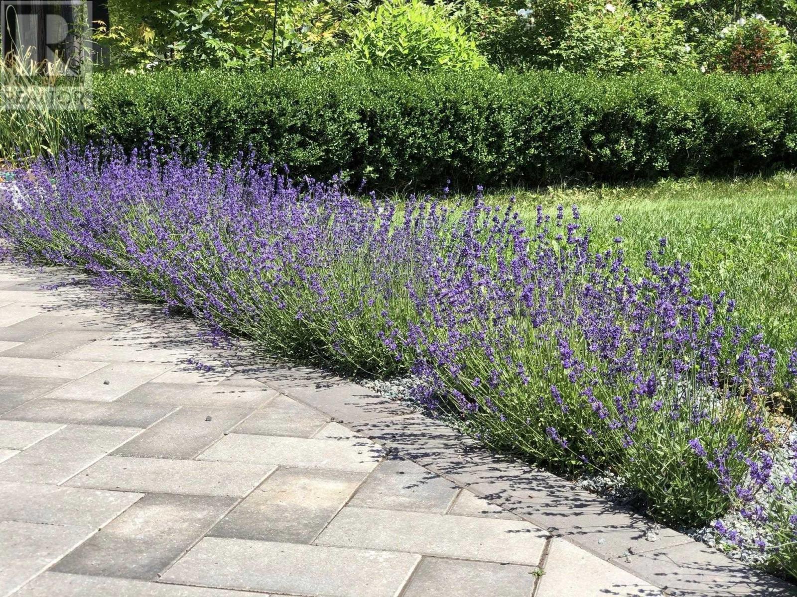 Property 7 of 31 of 173 Big Baddeck Road