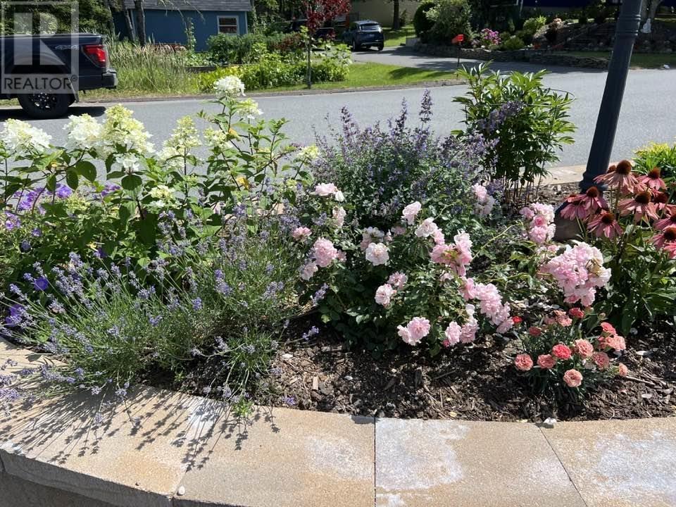 Property 30 of 31 of 173 Big Baddeck Road