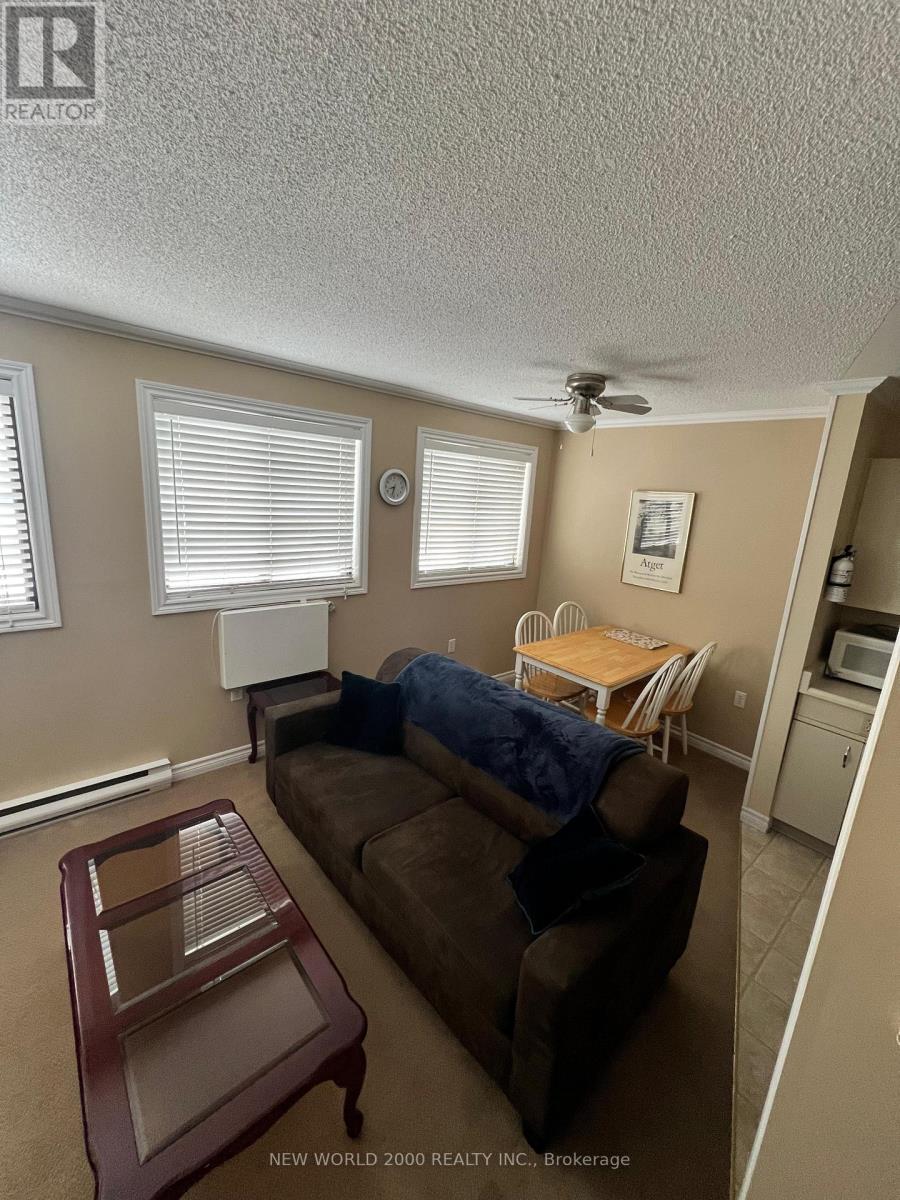 154 Ainslie St N photo 4