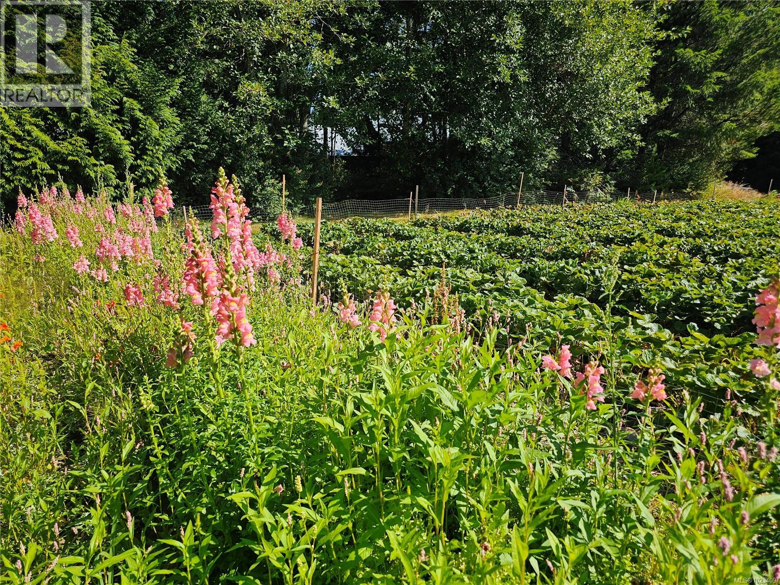 2156 COLEMAN RD - 24