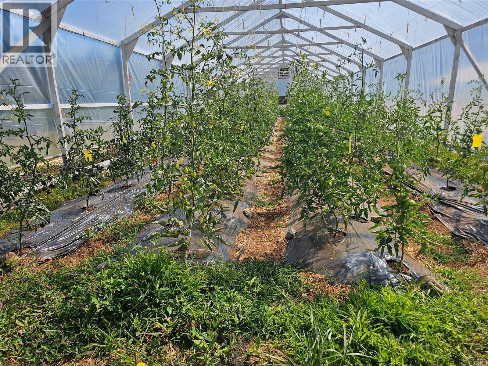 2156 Coleman Rd - 30