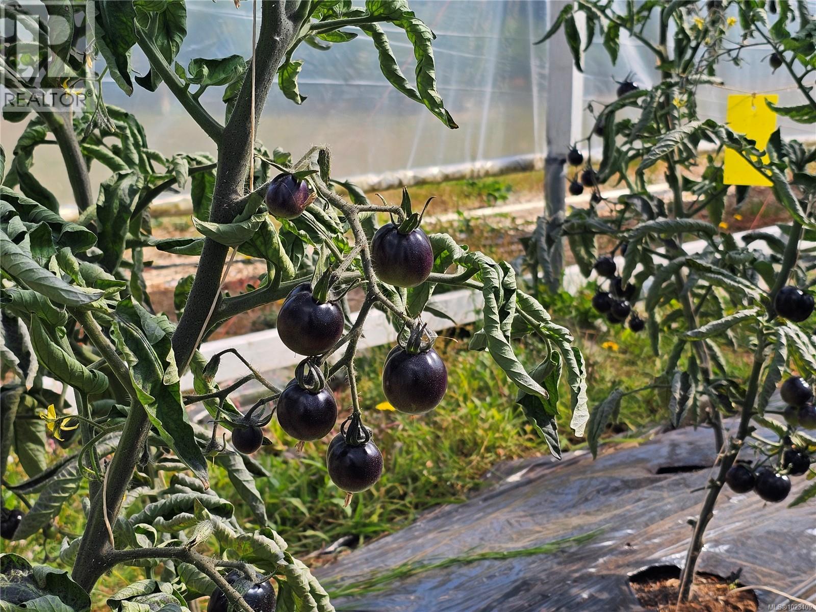 2156 COLEMAN RD - 31