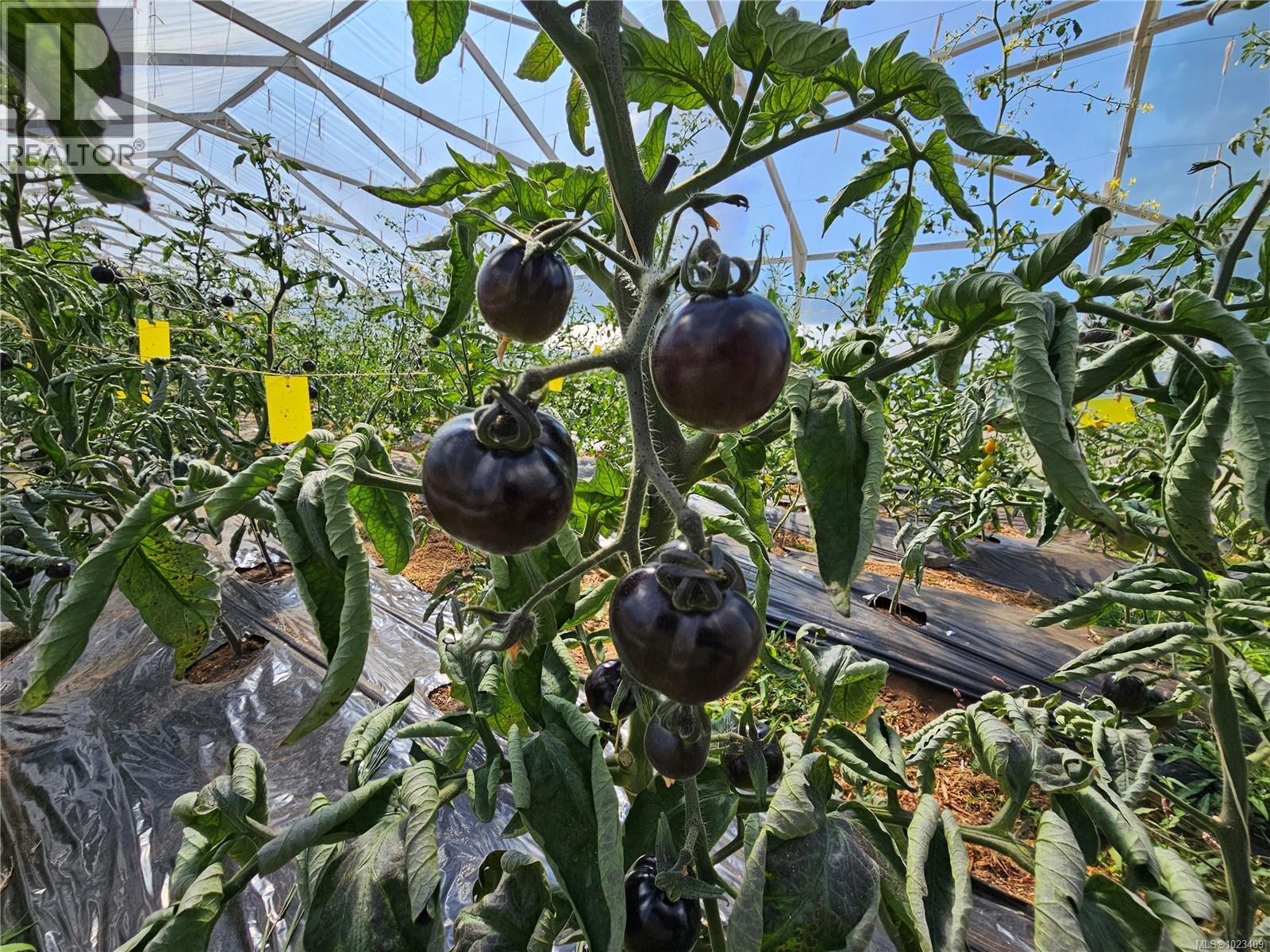 2156 COLEMAN RD - 65