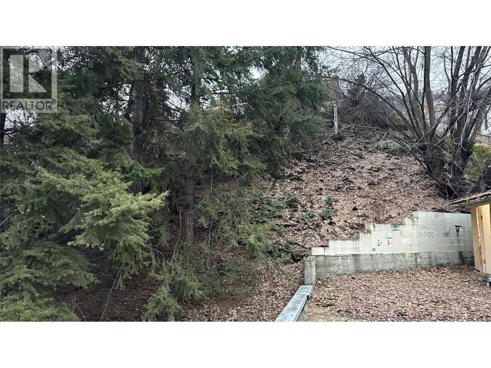 778 Rossland Avenue, Trail