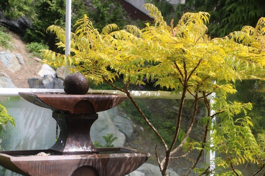 102 15025 VICTORIA AVENUE, White Rock