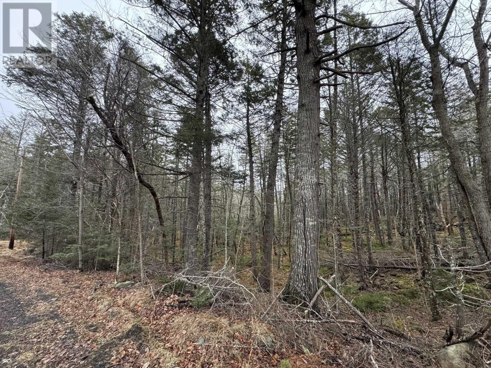 Property 7 of 16 of Lot 78 Thumb Cap Point