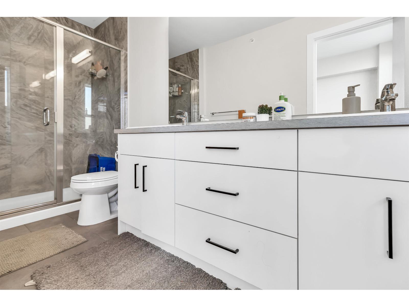 209 46150 THOMAS ROAD, Vedder Crossing, Chilliwack