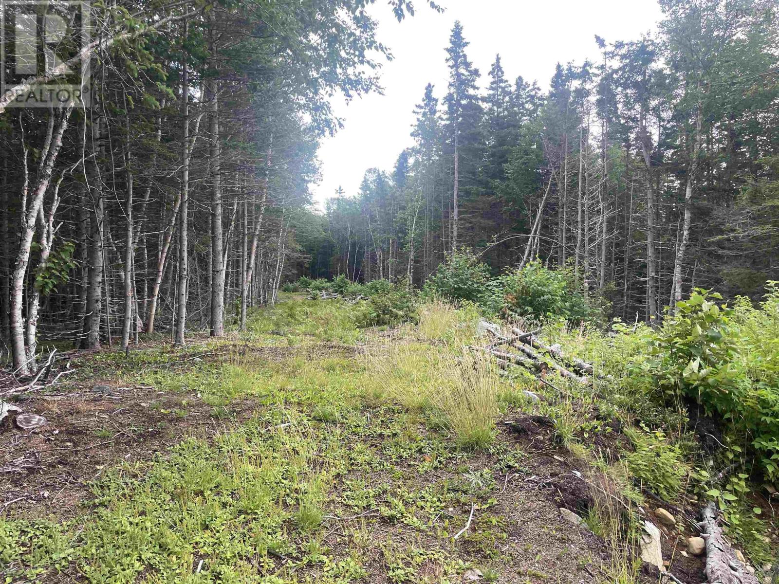 Property 16 of 26 of Cabot Trail