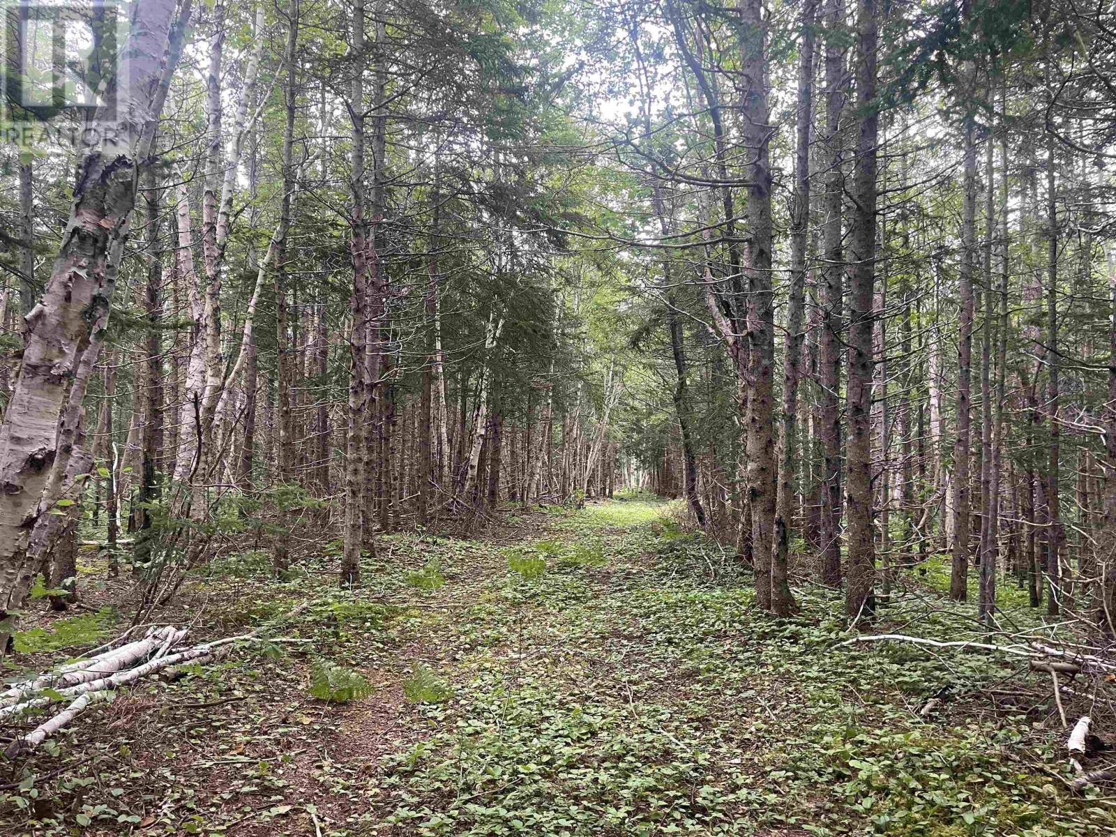 Property 17 of 26 of Cabot Trail