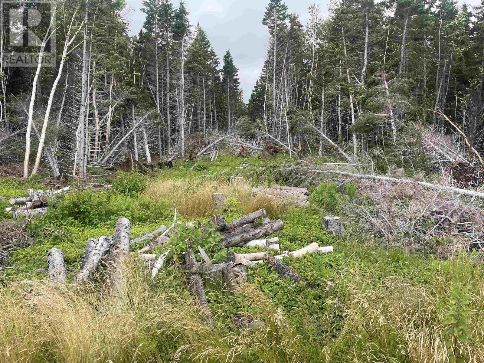 Property 21 of 26 of Cabot Trail