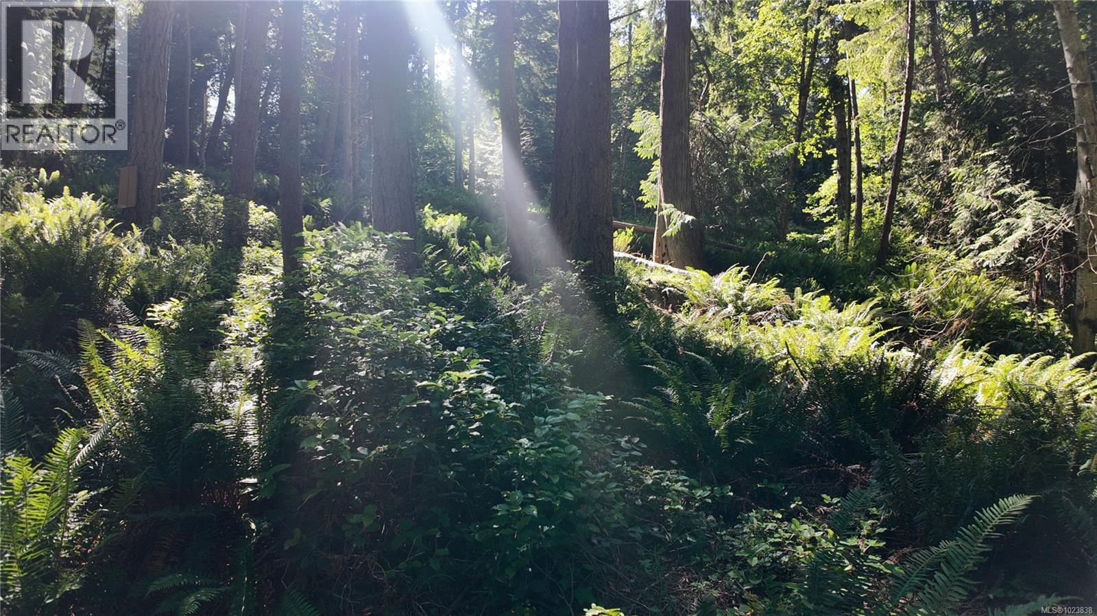 4480 Strachan Rd, Hornby Island