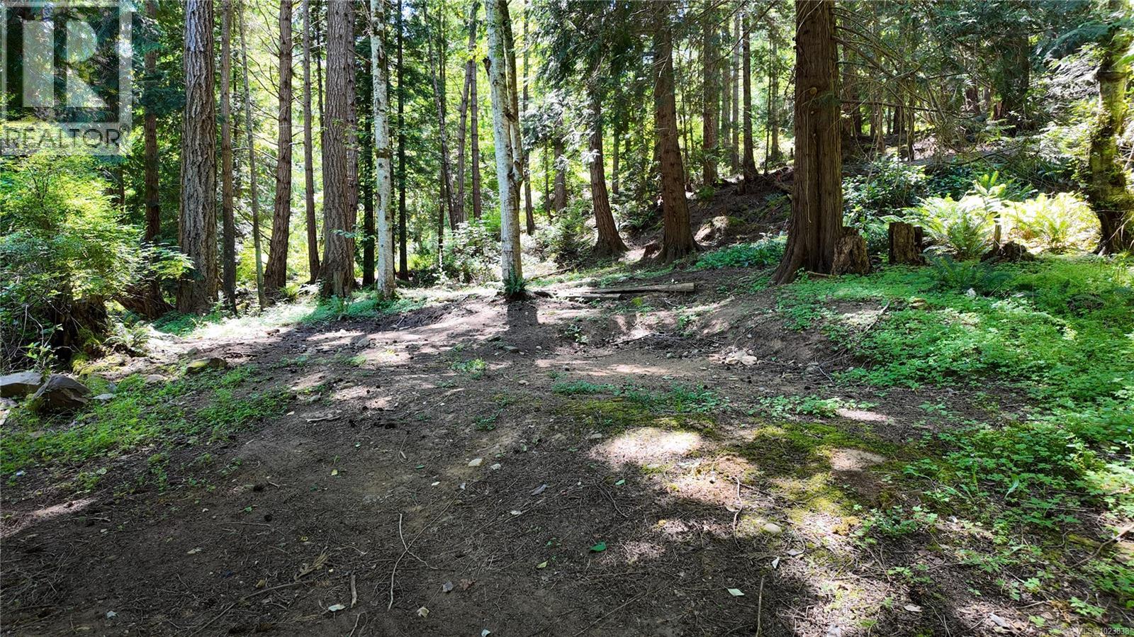 4480 Strachan Rd, Hornby Island