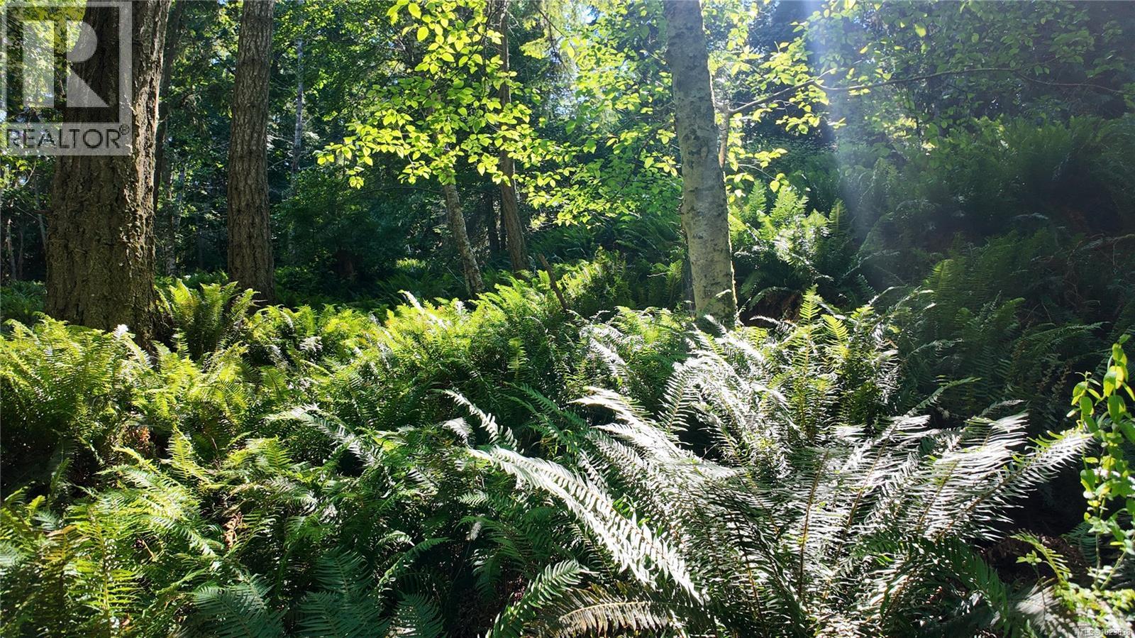 4480 Strachan Rd, Hornby Island