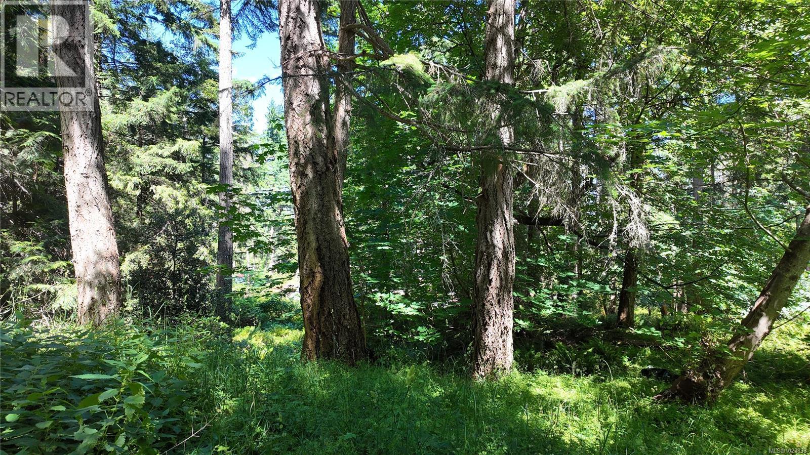 4480 Strachan Rd, Hornby Island