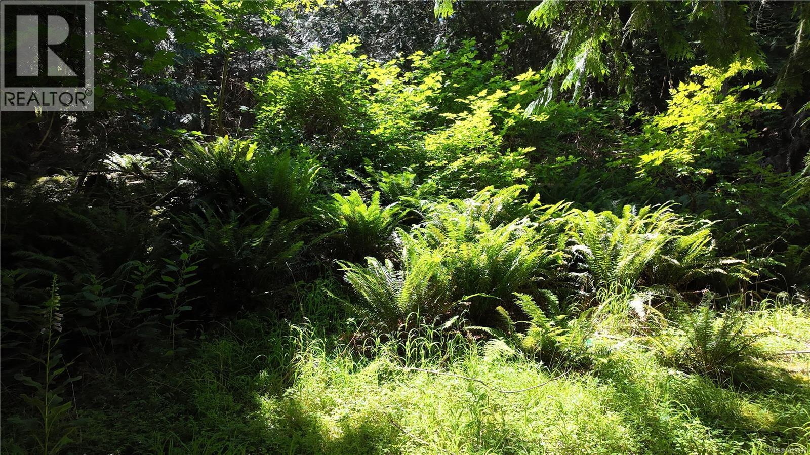 4480 Strachan Rd, Hornby Island