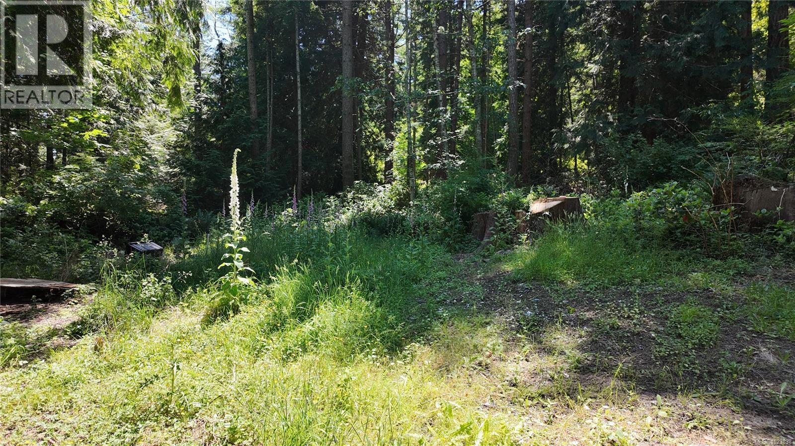 4480 Strachan Rd, Hornby Island