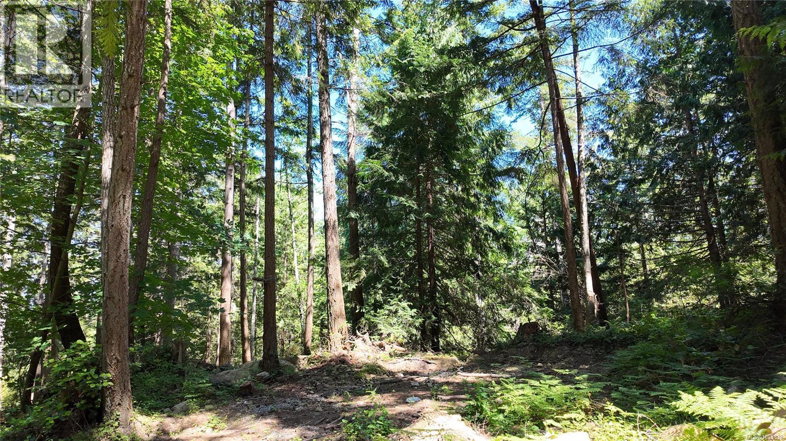 4480 Strachan Rd, Hornby Island