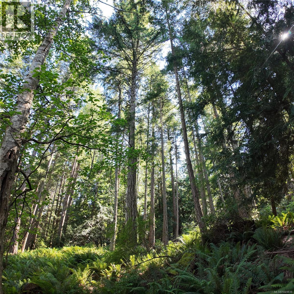 4480 Strachan Rd - 48
