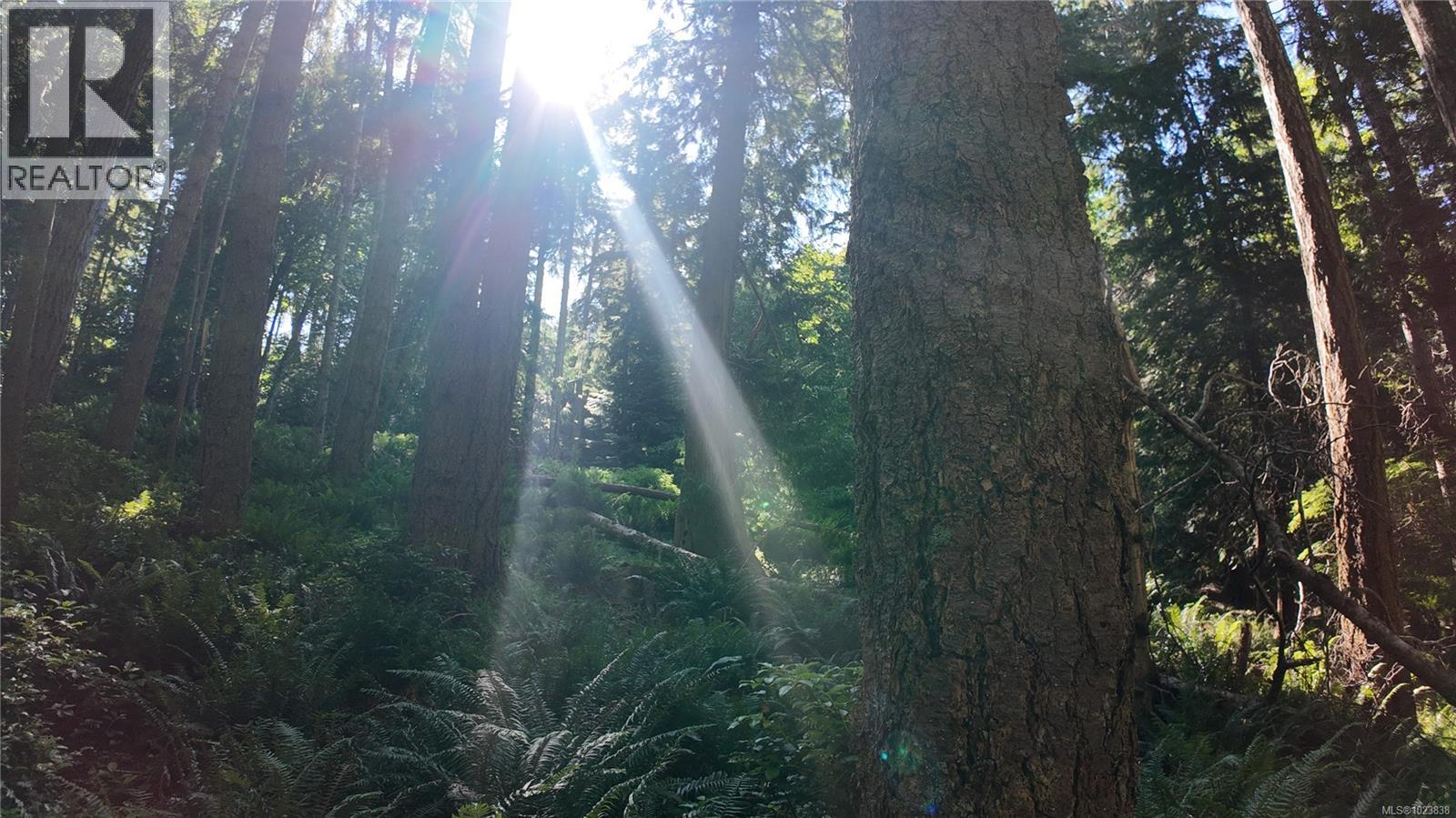 4480 Strachan Rd, Hornby Island