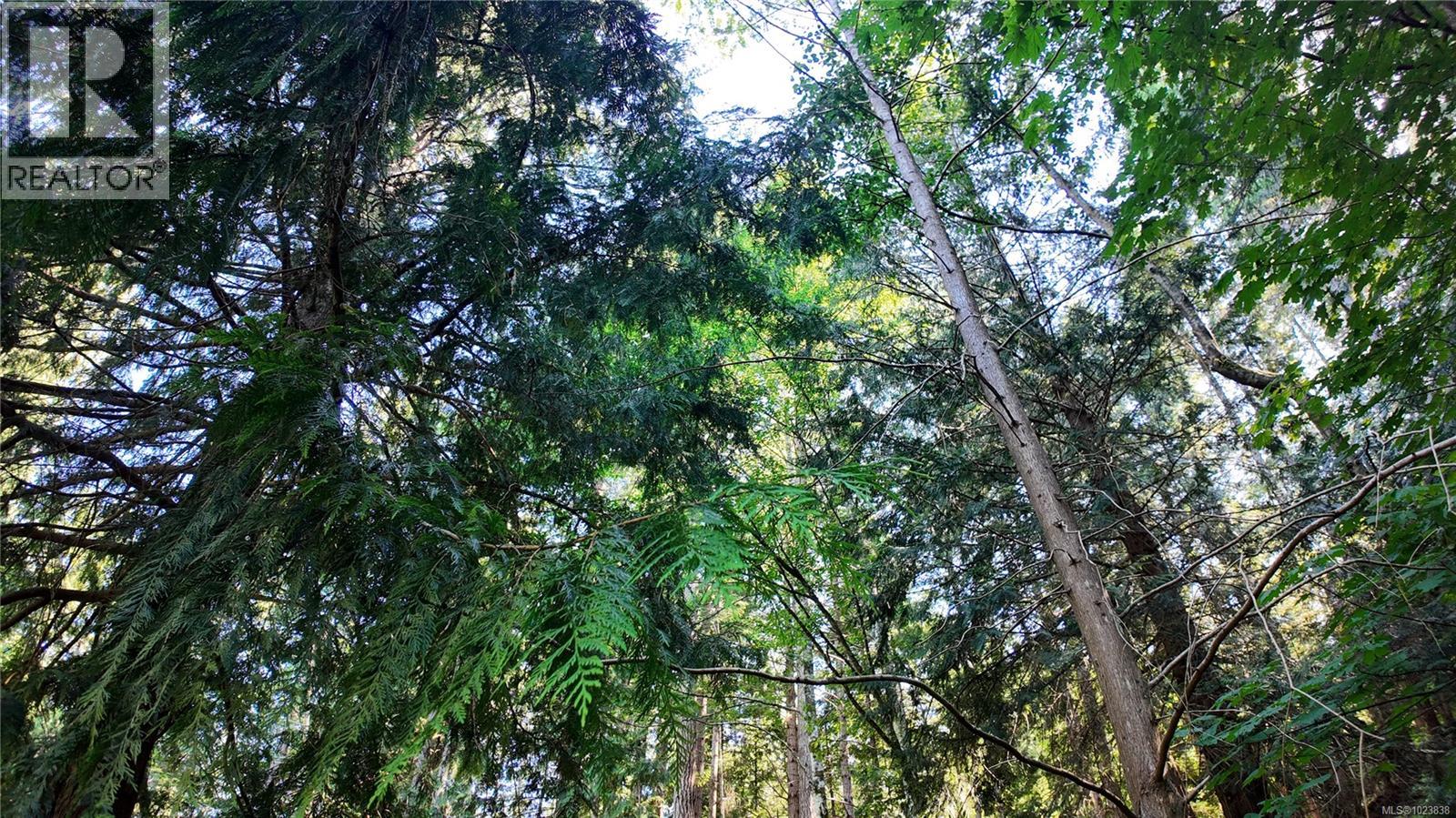 4480 Strachan Rd, Hornby Island