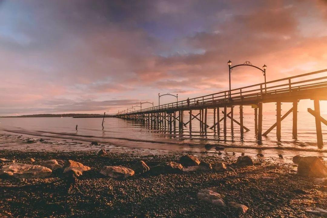 204 15233 PACIFIC AVENUE, White Rock