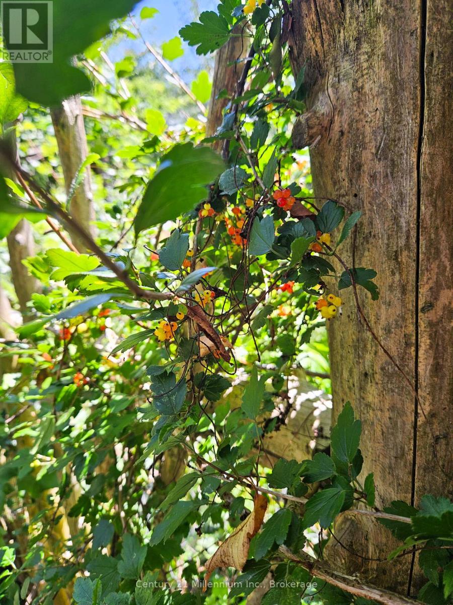 612608 SIDEROAD 61 - Photo 3 of 8, Southgate, Ontario