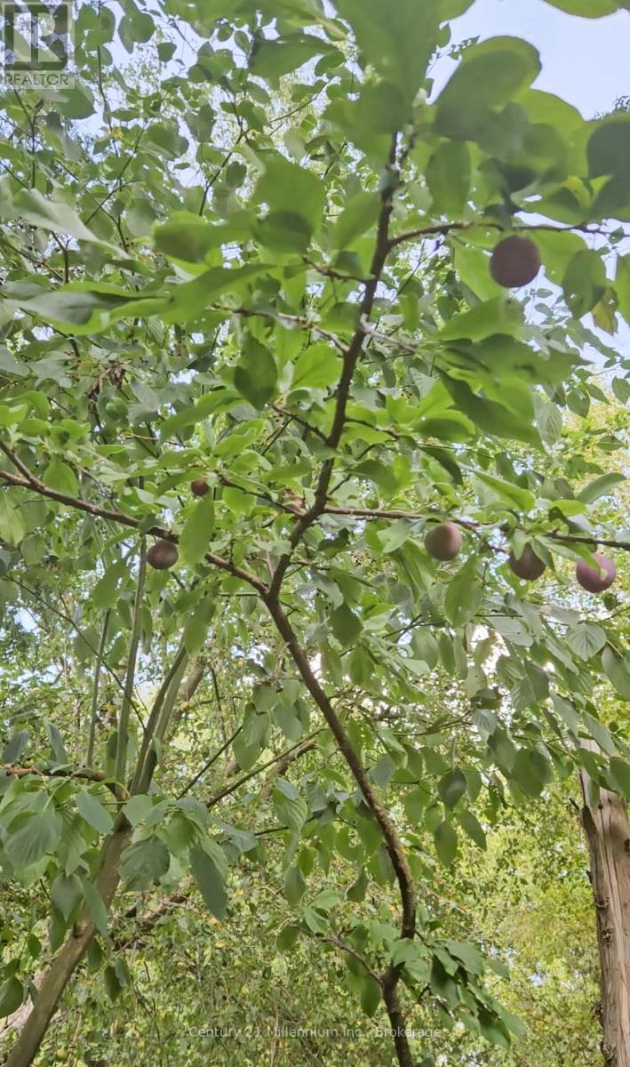 612608 SIDEROAD 61 - Photo 4 of 8, Southgate, Ontario