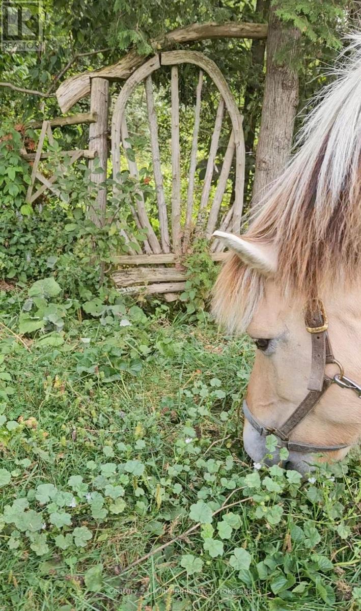 612608 SIDEROAD 61 - Photo 5 of 8, Southgate, Ontario