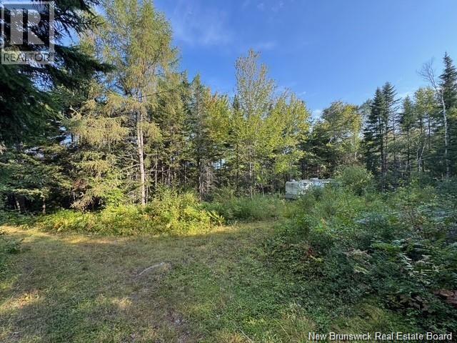 Milkish Creek Road - Photo 5 of 6, Summerville, New Brunswick