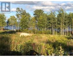 202 Comfort Cove Road thumbnail 5