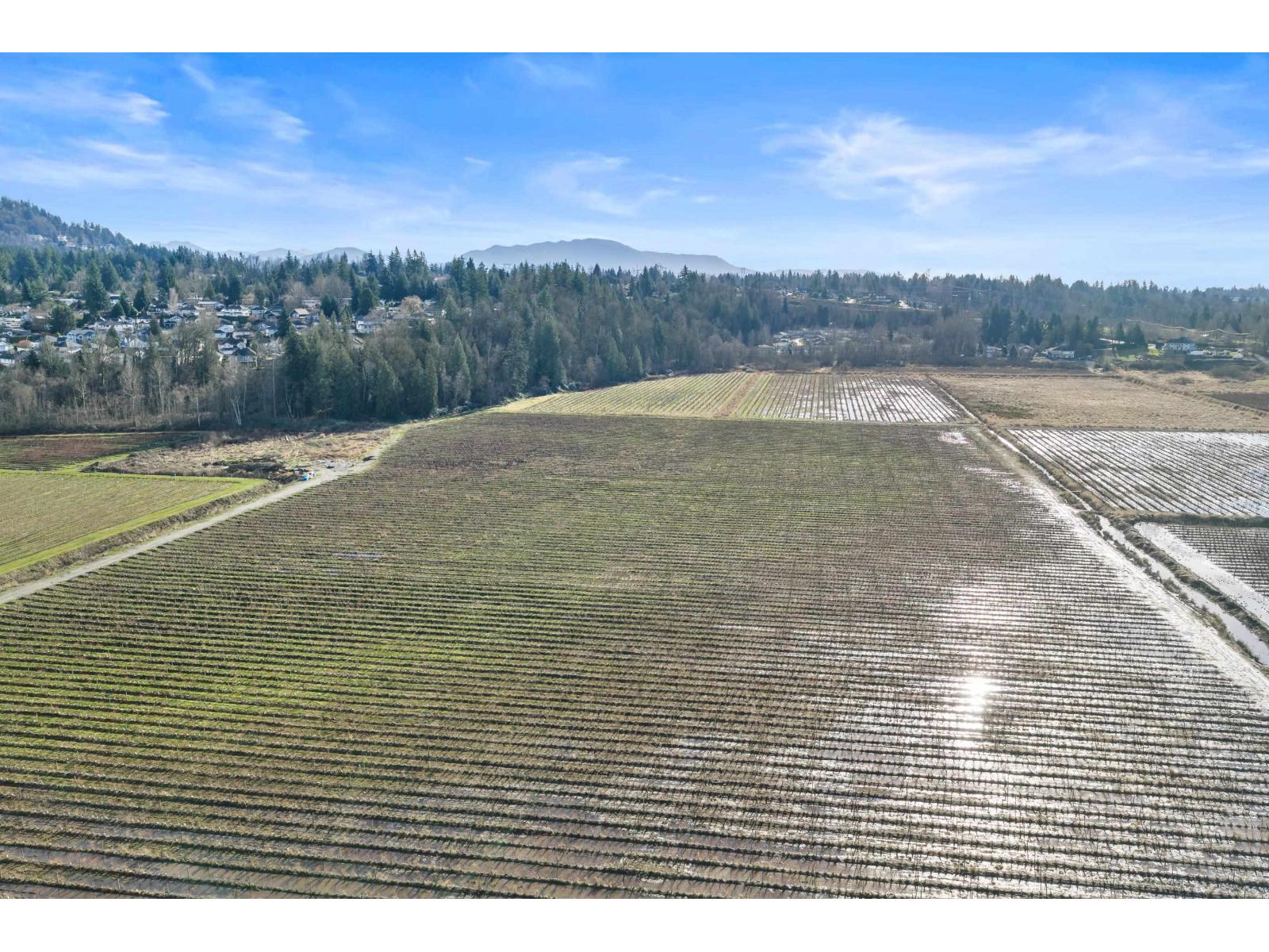 34350 BATEMAN ROAD, Abbotsford